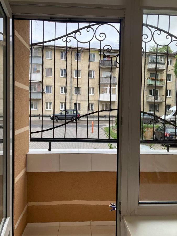 New Cosy Apartment Lvov Exteriér fotografie